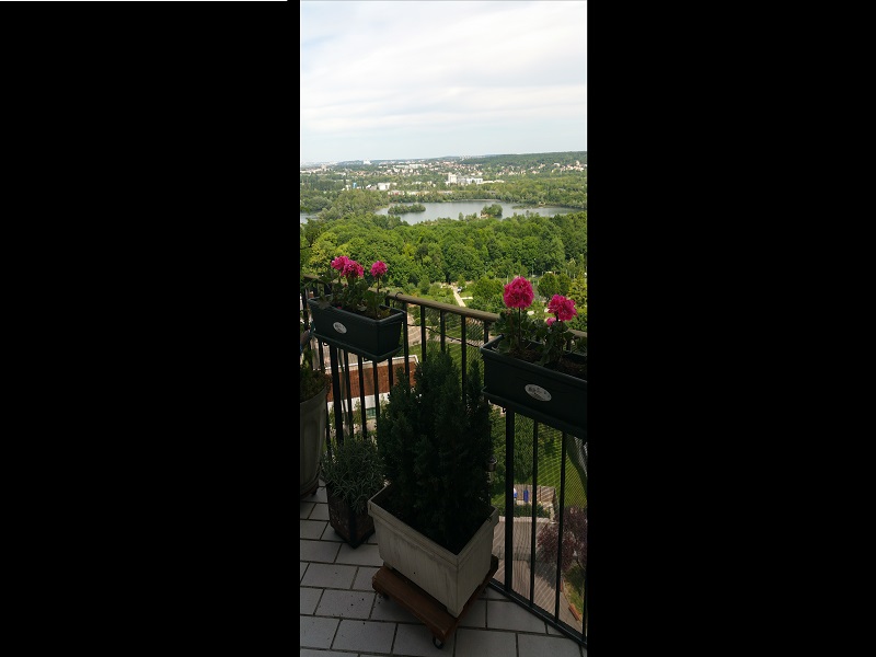 Viager occupé GRIGNY - 91350 bouquet 15€ - ref 1375