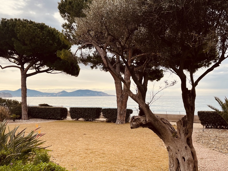 Nue-propriété CIOTAT - 13600 bouquet 825€ - ref 2385