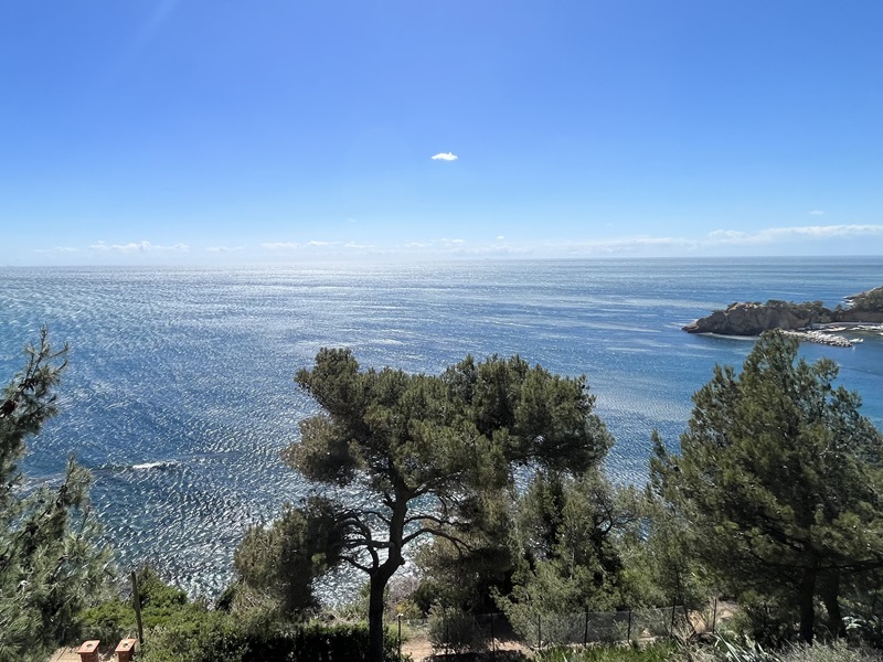 Viager occupé ENSUES-LA-REDONNE - 13820 bouquet 49€ - ref 2886
